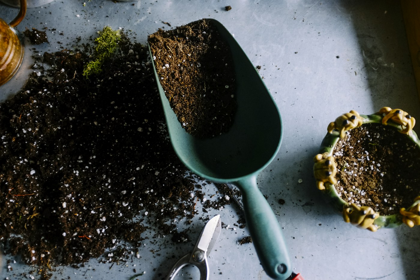 Groene planten in een rustige tuin